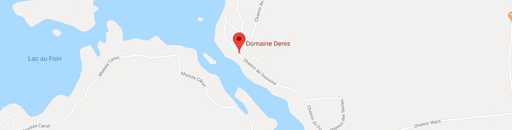 domaine denis google map